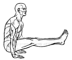 Ангуштхасана или Толанасана — угол в равновесии с прямыми ногами.